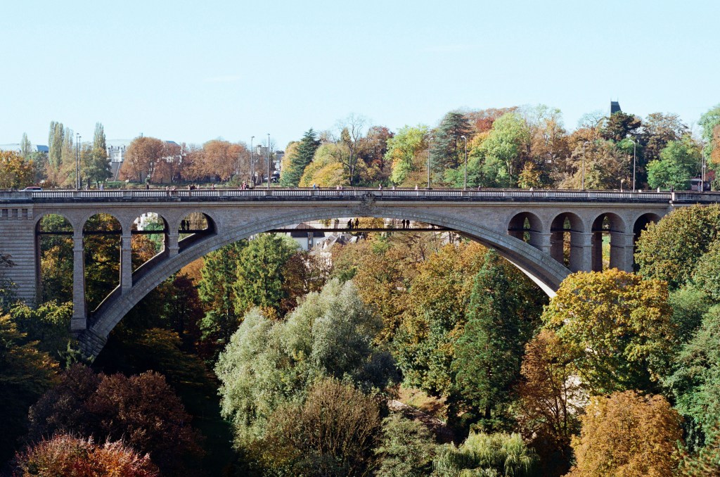Landscape photo - bridge over a forest